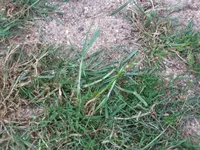 DSCF1028.webp