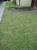Löwenzahngarten.webp