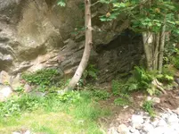 CIMG7156.webp