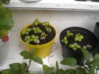 CIMG7149.webp