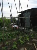 garten 09 006.webp