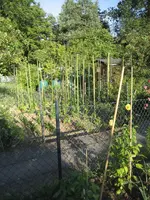 garten 09 009.webp