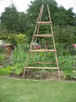 garten 09 004.webp