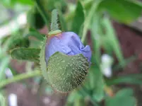 IMG_9657_1067x800.webp