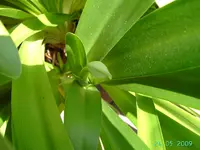 PICT2321.webp