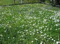 20070413_3343.webp