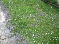20090414_8076.webp