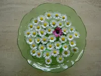 Gaensebluemchenschale.webp