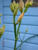 DSCN6624.webp