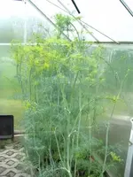 25.05.09 005.webp