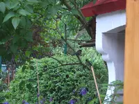 11872.webp
