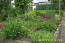 klein 8.webp