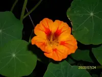 k-DSCI0097.webp