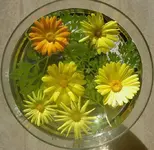 Blumenschale.webp