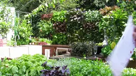showgartenfreshly.webp