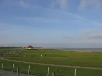 Blick über den Deich.webp