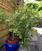 DSC08292 (Large).webp