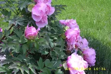 Test 1249.webp