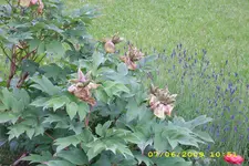 Test 1289.webp
