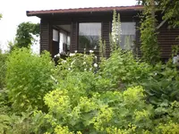 Garten Juni3 010.webp
