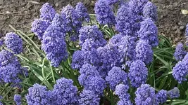 031.webp