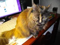 IMGP1081.webp