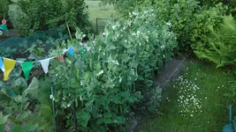 SAM_2922.webp