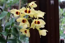 IMG_1527 - Kopie.webp