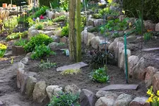 4 neue Terrassen rechts_smaller.webp