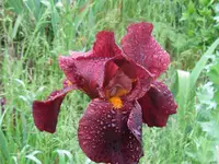007_1024x768.webp