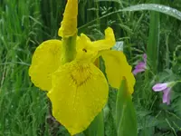008_1024x768.webp