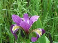 009_1024x768.webp