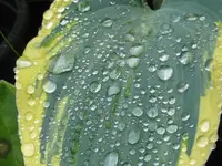 010_1024x768.webp
