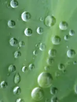 012_576x768.webp