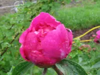 003_1024x768.webp