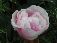 006_1024x768.webp