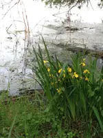 083.webp
