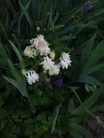 088.webp