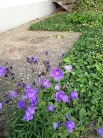 085.webp