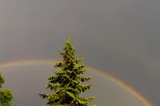Regenbogen_0005.webp