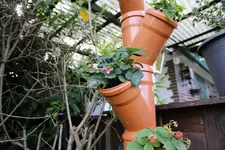 10301366_681569285214391_8335968389537436954_n.webp