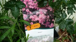 K800_Garten 001.webp