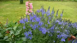 K800_Garten 004.webp