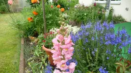 K800_Garten 013.webp