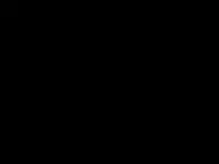 schwarz.webp