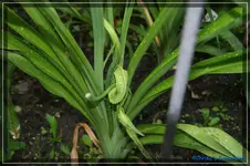 comp_DSC01475.webp