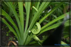 comp_DSC01476.webp