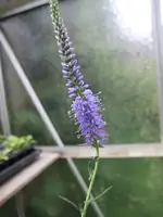DSCF3527.webp
