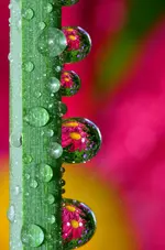 DSC_0049.webp