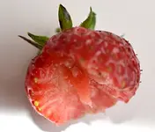 DSC_9235_schmeckt.webp